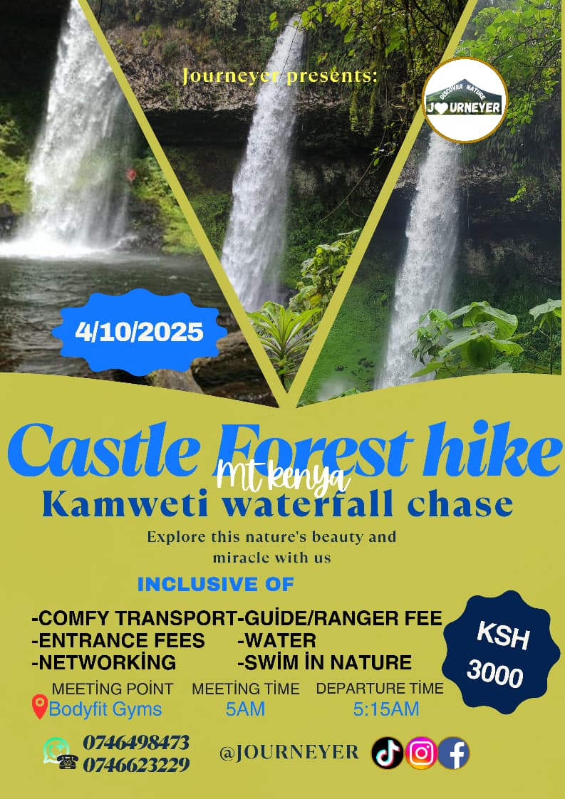 Castle Forest, Kamweti Waterfall Chase 